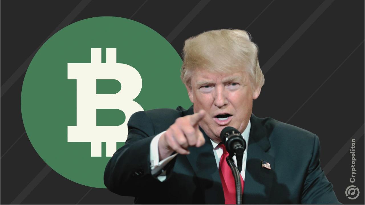 特朗普1月份的裁决如何影响比特币?